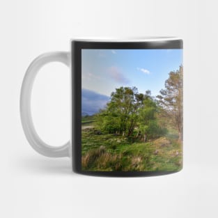 Afternoon at Kelly Farm Tarn Mug